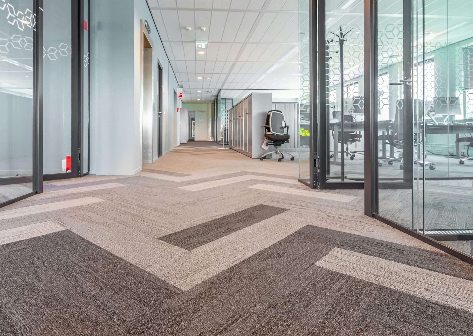 Commercial carpet tiles in an office corridor, deep-cleaned by The Carpet Guys