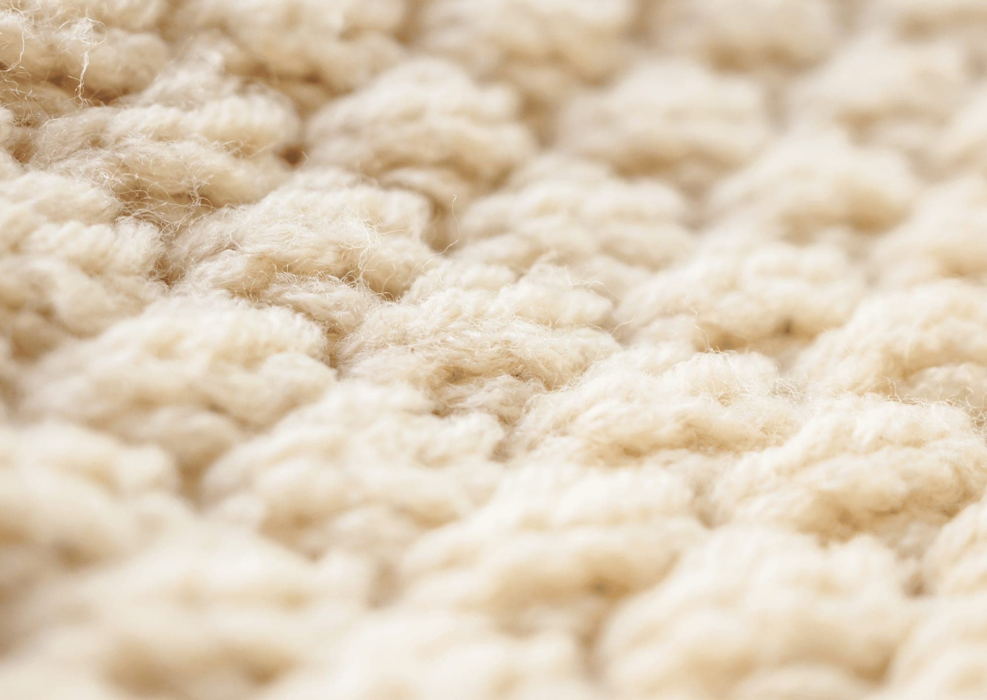 Close-up of freshly cleaned carpet pile showing restored fibres