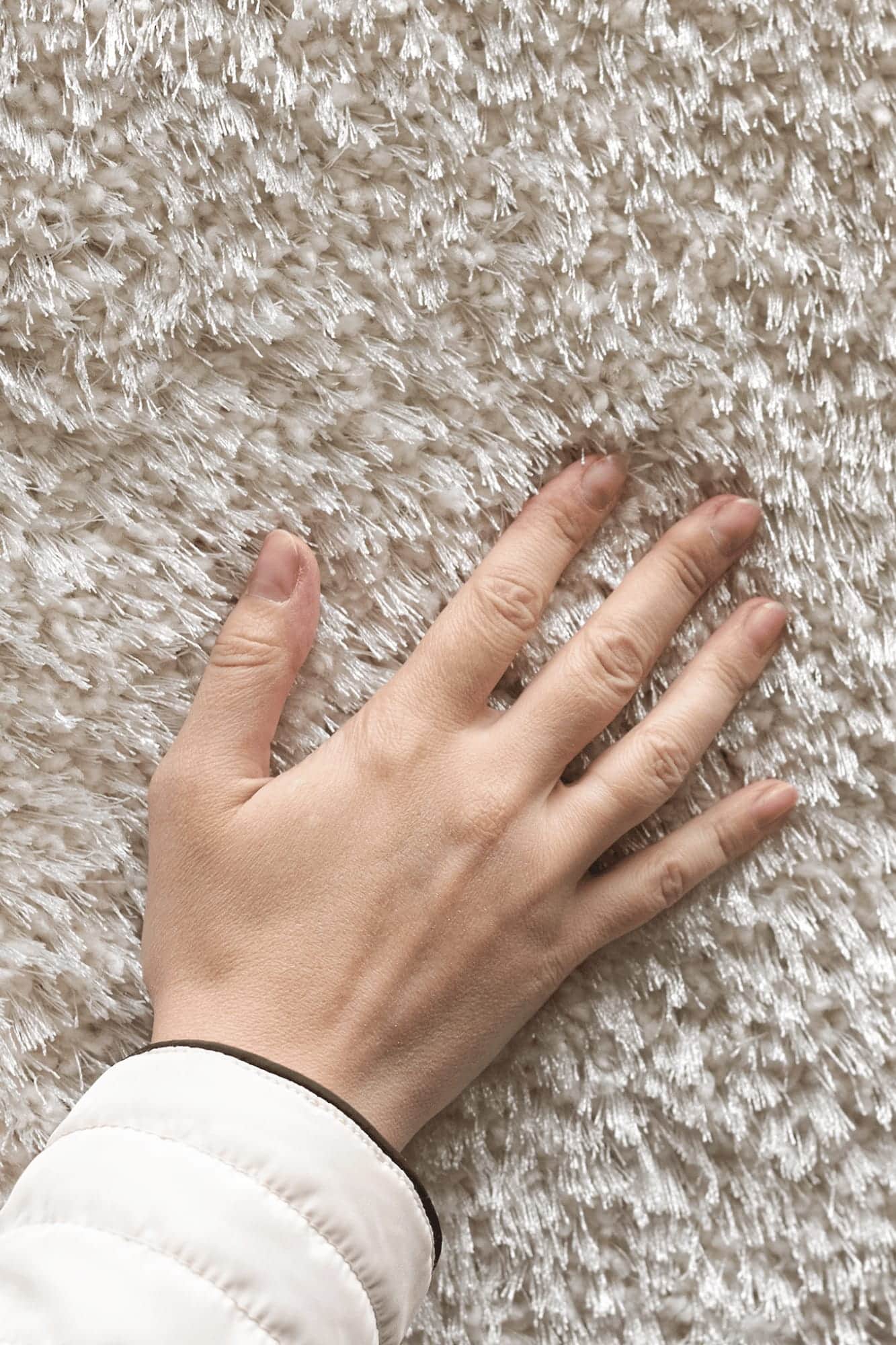 Hand resting on the soft pile of a freshly cleaned rug in a Johannesburg home